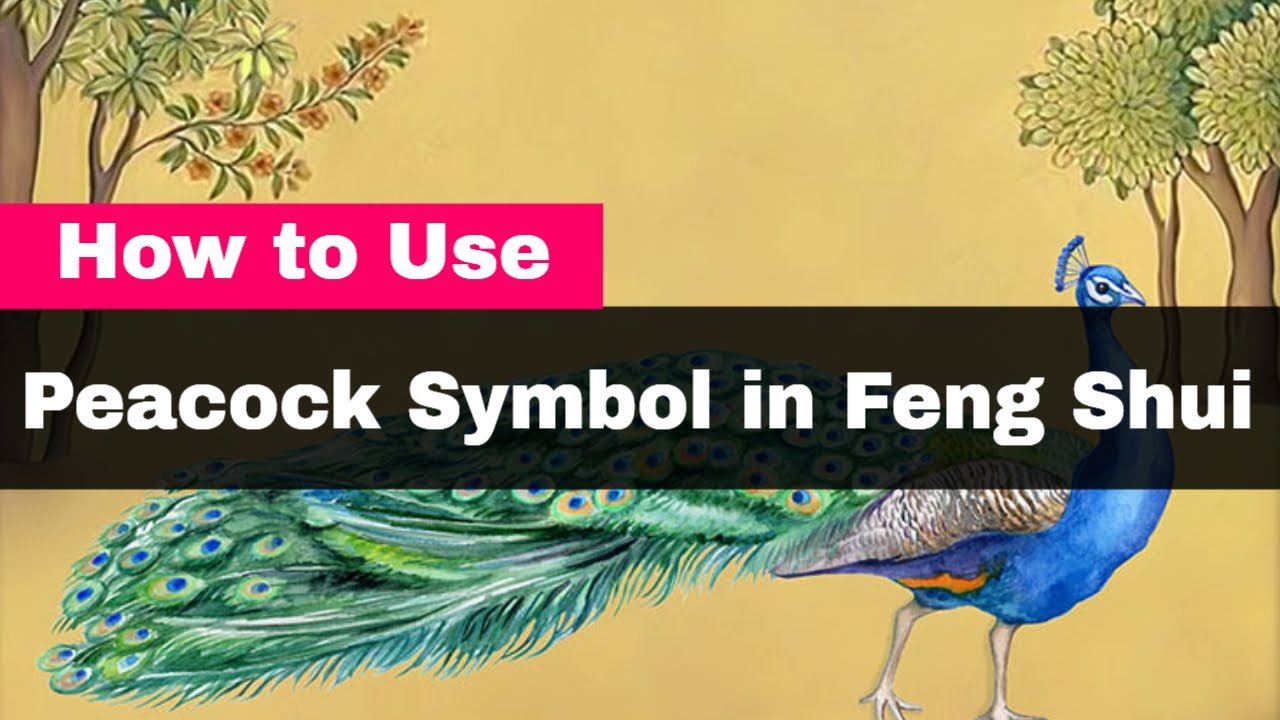 How To Use The Peacock Symbol In Feng Shui